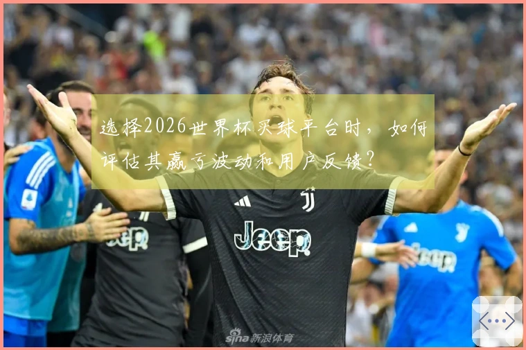 选择2026世界杯买球平台时，如何评估其赢亏波动和用户反馈？