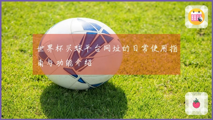 世界杯买球平台网址的日常使用指南与功能介绍