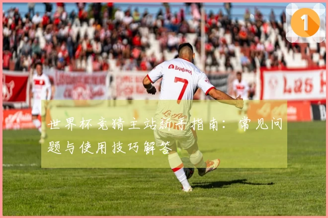 世界杯竞猜主站新手指南：常见问题与使用技巧解答