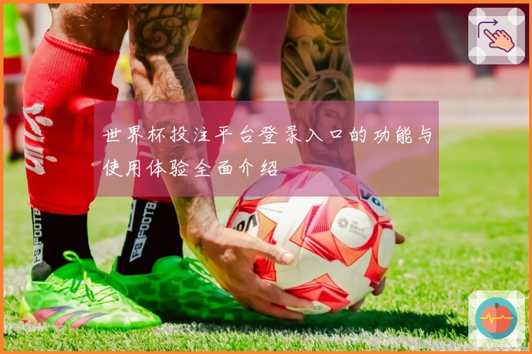 世界杯投注平台登录入口的功能与使用体验全面介绍