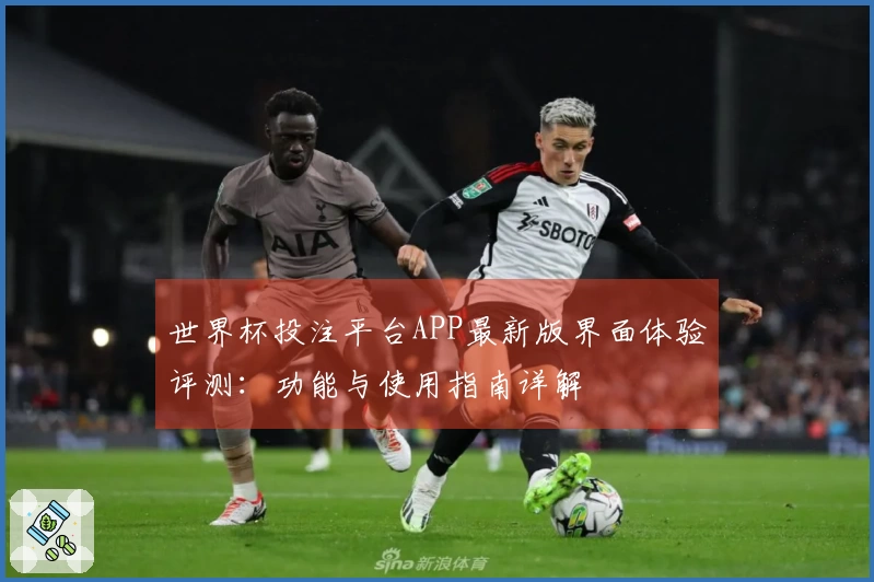 世界杯投注平台APP最新版界面体验评测：功能与使用指南详解