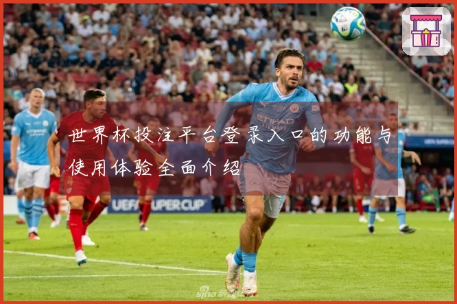 世界杯投注平台登录入口的功能与使用体验全面介绍