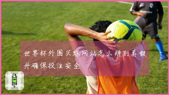 世界杯外围买球网站怎么辨别真假并确保投注安全